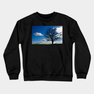 Australian Evening Landscape Crewneck Sweatshirt